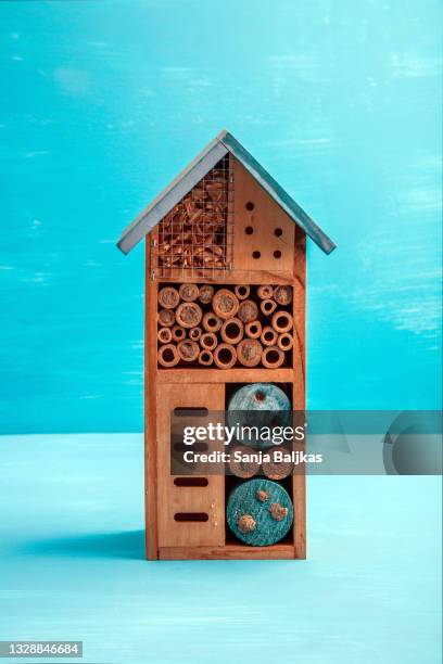 house for bees and insects - apiary stock pictures, royalty-free photos & images