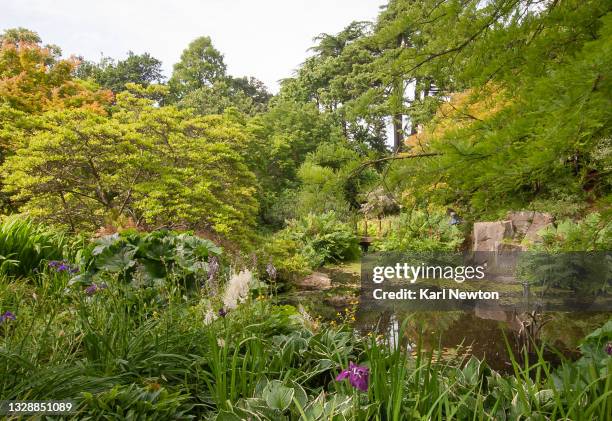 birmingham botanical gardens - birmingham england stock-fotos und bilder