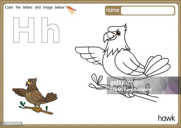 stockillustraties, clipart, cartoons en iconen met vector illustration of kids alphabet coloring book page with outlined clip art to color. letter h for hawk. - falconry