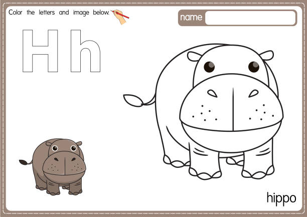 vector illustration of kids alphabet coloring book page with outlined clip art to color. letter h for hippo. - zoo art stock illustrations