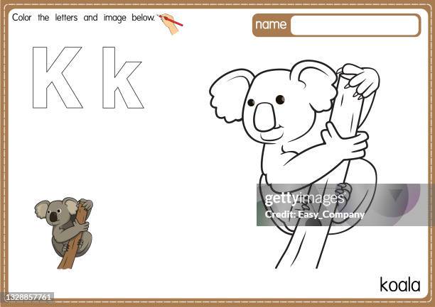 illustrations, cliparts, dessins animés et icônes de illustration vectorielle de la page du livre de coloriage de l’alphabet pour enfants avec une image clipart en couleur. lettre k pour koala. - koala bear