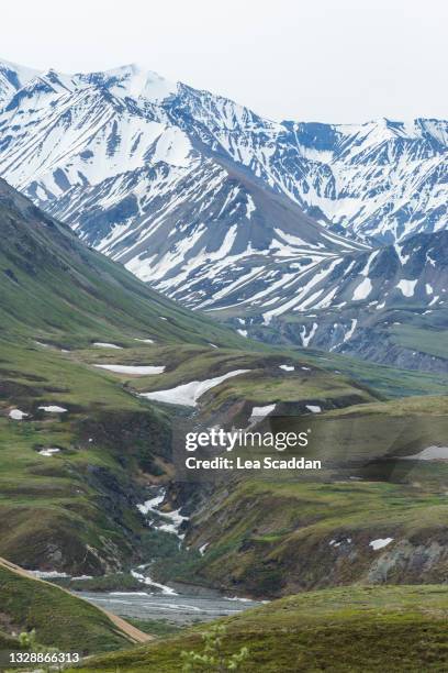 view of denali - mountain pass stock pictures, royalty-free photos & images
