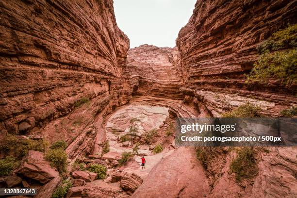 person in red t-shirt climbing on rock formation,salta,argentina - saltar stock-fotos und bilder