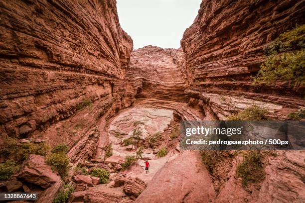person in red t-shirt climbing on rock formation,salta,argentina - salta argentina fotografías e imágenes de stock