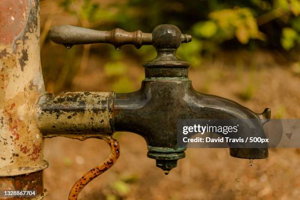 41 Travis Rust Stock Photos, High-Res Pictures, and Images - Getty Images