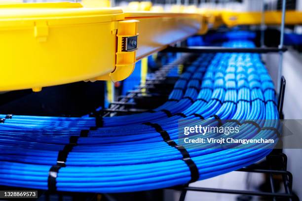 blue network cable in data center room - data center stockfoto's en -beelden