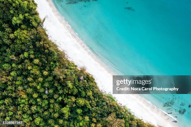 drone point of view of tropical beach with white sand and palm trees - kota kinabalu beach stock pictures, royalty-free photos & images