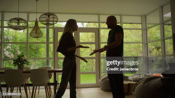 couple having emotional, aggressive discussion. silhouettes in living room - psychological abuse stock pictures, royalty-free photos & images