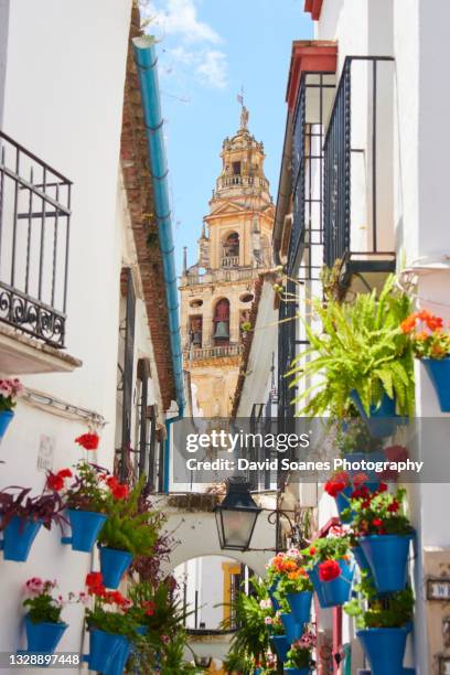 calleja de las flores in cordoba, spain - cordoba spain stock pictures, royalty-free photos & images