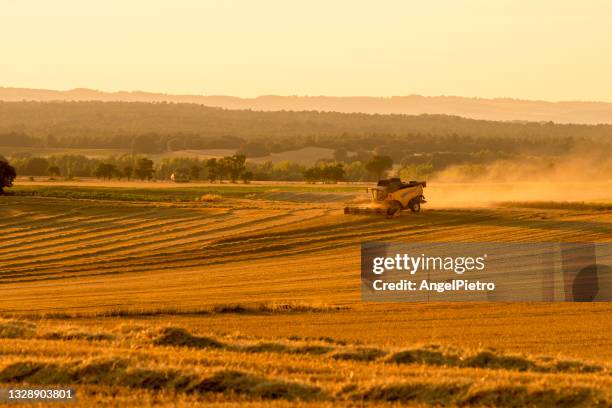 a barley harvester at sunset - fog machine stock pictures, royalty-free photos & images