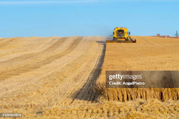 a barley harvester at sunset - smart agriculture stock pictures, royalty-free photos & images