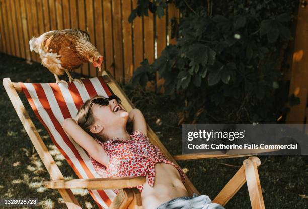 relaxed child reclines on a deckchair and laughs as her chicken perches on the edge and looks down into her face - white perch fish stock pictures, royalty-free photos & images