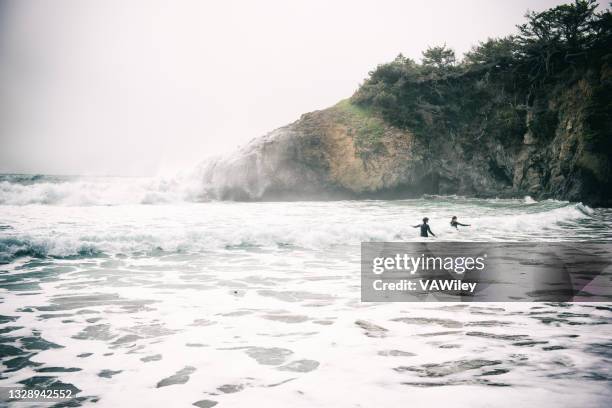 beautiful california coastal trip, children boogie boarding together in drastic coast - mendocino bildbanksfoton och bilder