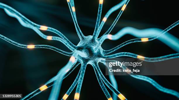 neuron synapse hologram - autonoom zenuwstelsel stockfoto's en -beelden