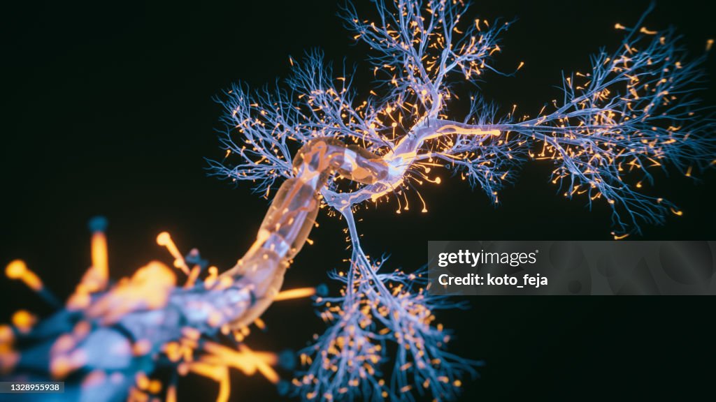 Nahaufnahme von Neuronenzellen