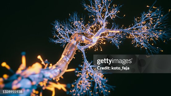 Vista ravvicinata delle cellule neuronali Vista ravvicinata delle cellule neuronali