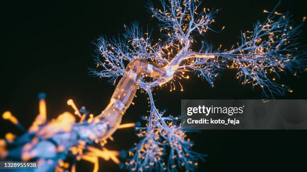 neuron cell close-up view - synapse stockfoto's en -beelden