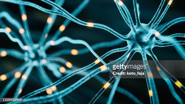holograma de sinapse do neurônio - sinapse excitatória - fotografias e filmes do acervo