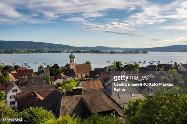 view of the lake constance municipality allensbach at lake constance, behind it the island reichenau, district constance, baden-wuerttemberg, germany - lake constance bildbanksfoton och bilder