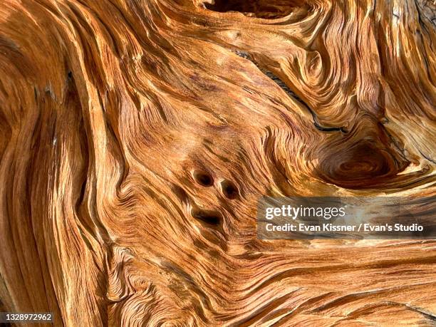 driftwood - brown wood stock pictures, royalty-free photos & images