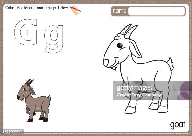 illustrations, cliparts, dessins animés et icônes de illustration vectorielle de la page du livre de coloriage de l’alphabet pour enfants avec une image clipart en couleur. lettre g pour chèvre. - chevre animal