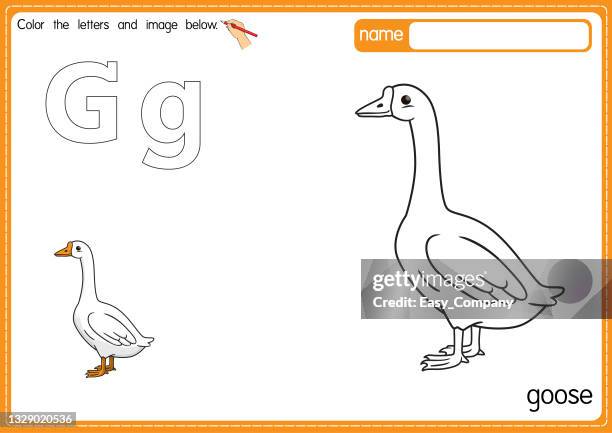 stockillustraties, clipart, cartoons en iconen met vector illustration of kids alphabet coloring book page with outlined clip art to color. letter g for goose. - ganzenvlees