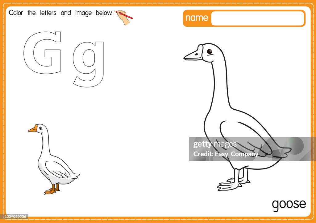 Vector illustration of kids alphabet coloring book page with outlined clip art to color. Letter G for Goose.