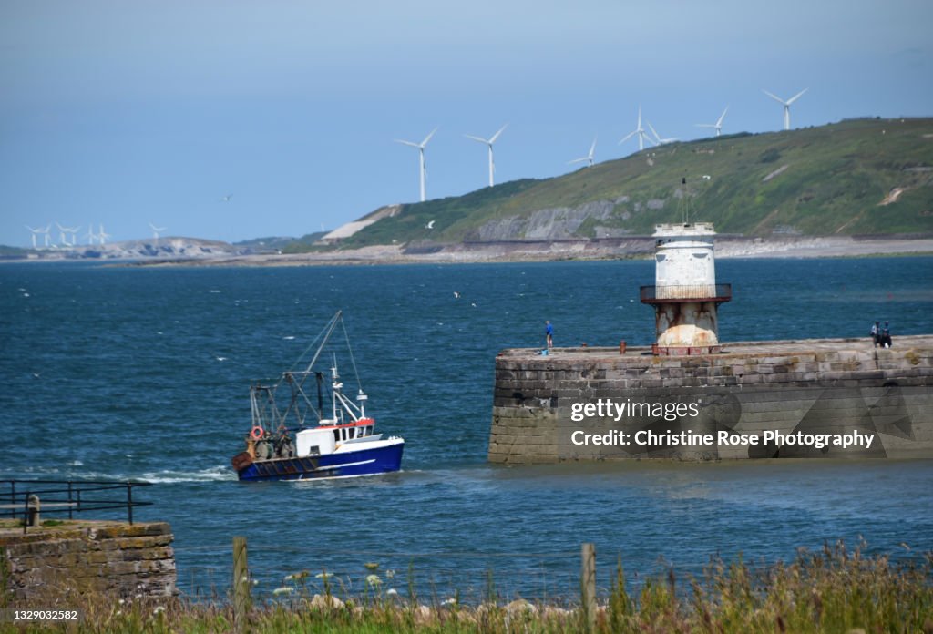 Bringing Home The Catch