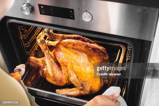 female preparing traditional turkey for thanksgiving dinner in oven - roasted stock pictures, royalty-free photos & images