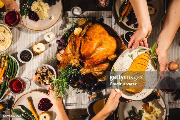 family having thanksgiving lunch at home - thanksgiving plate of food stock pictures, royalty-free photos & images