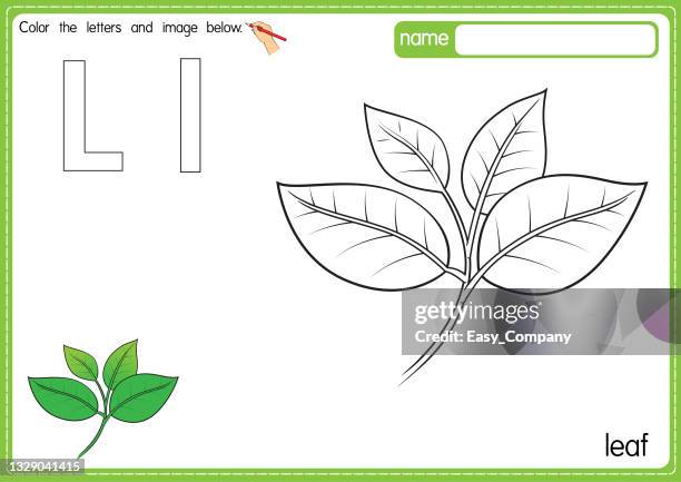 ilustrações de stock, clip art, desenhos animados e ícones de vector illustration of kids alphabet coloring book page with outlined clip art to color. letter l for  leaf. - galhinhos