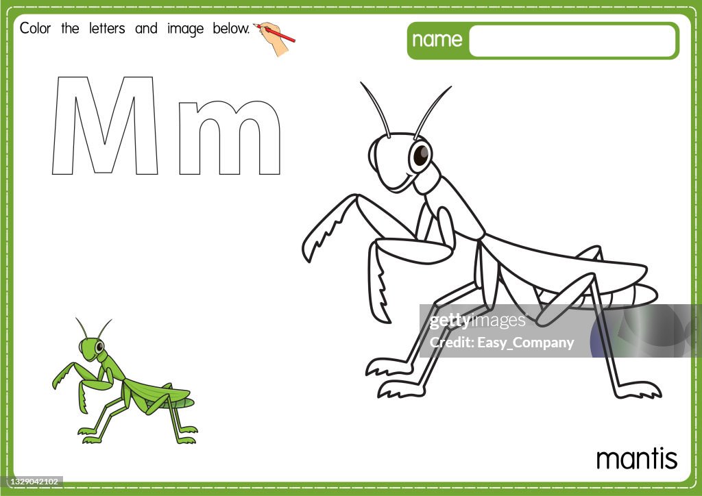 Vector illustration of kids alphabet coloring book page with outlined clip art to color. Letter M for Mantis.