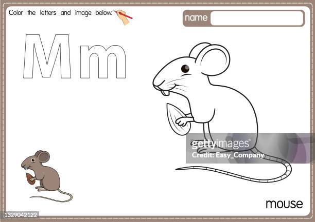 ilustraciones, imágenes clip art, dibujos animados e iconos de stock de ilustración vectorial de la página del libro para colorear del alfabeto de los niños con imágenes prediseñadas delineadas para colorear. letra m para ratón. - field mouse