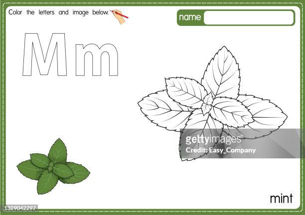 vector illustration of kids alphabet coloring book page with outlined clip art to color. letter m for  mint. - mint leaves stock illustrations