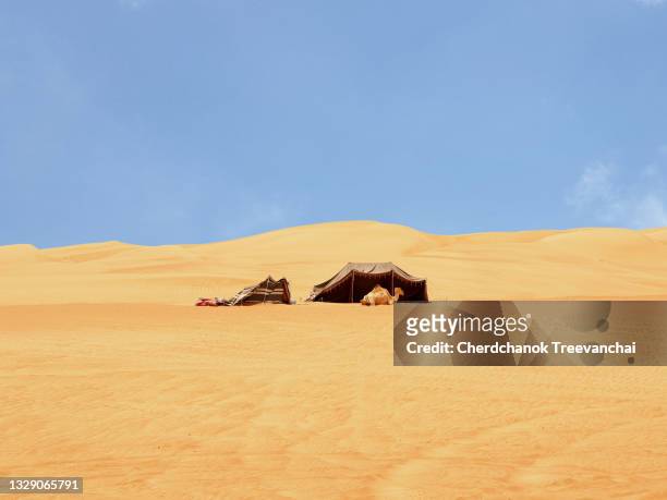 the shelter and a camel in front of the dessert. - arabian tent stock-fotos und bilder