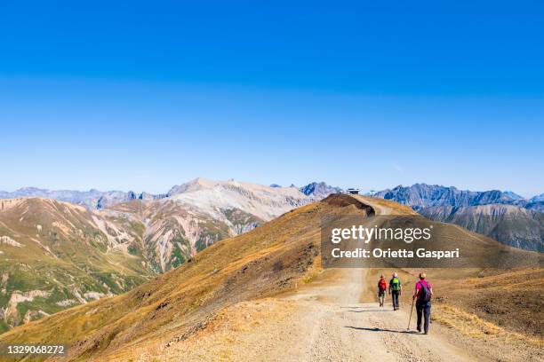 caminhadas em livigno, lombardia, itália - livigno - fotografias e filmes do acervo