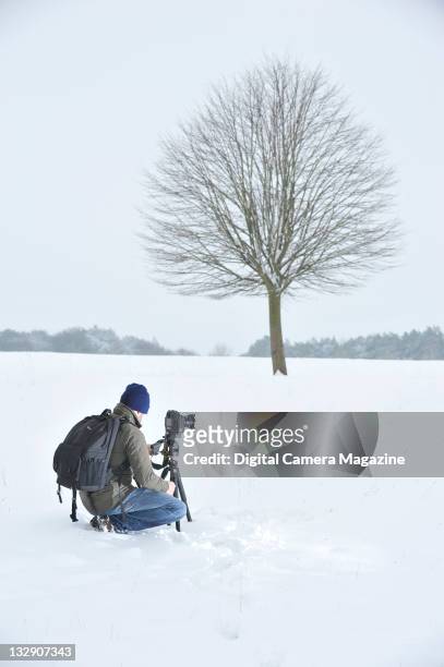 Photographer taking pictures of a bare tree in a snow-covered field in winter, Hungerford, January 15, 2010.