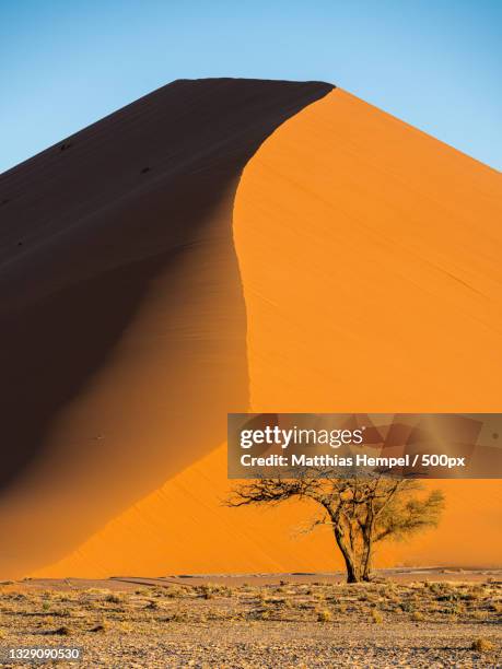 scenic view of desert against clear sky,namibia - namib naukluft national park fotografías e imágenes de stock