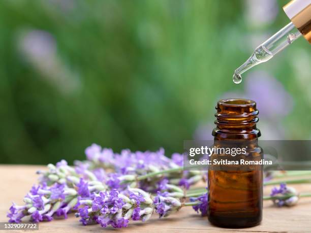 essential lavender oil in bottle with dropper, drop of liquid on it. lavender on wooden desk. green nature background - lavendelfarbig stock-fotos und bilder
