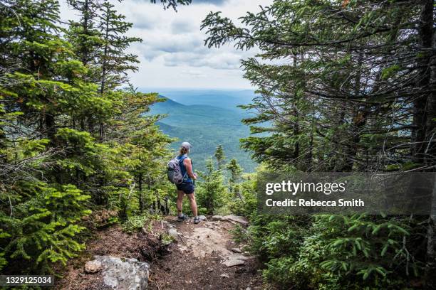 woman hiking - montanhas apalaches imagens e fotografias de stock