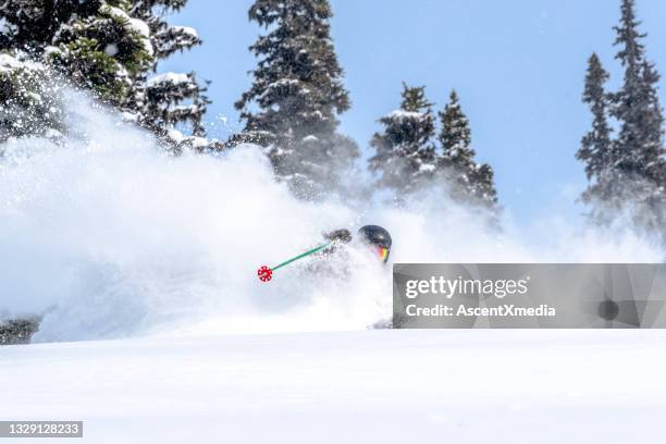 backcountry skier descends through dense powder - whistler blackcomb ski resort stock pictures, royalty-free photos & images