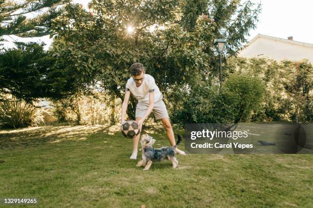 teenager boy plays soccer with her pet dog in back yard - yorkshire terrier playing stock pictures, royalty-free photos & images