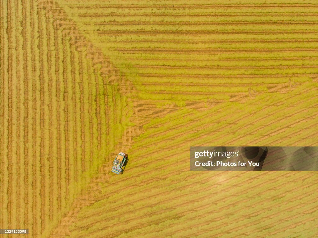 Aerial view/Combine harvesters harvesting produce to sell to the market.