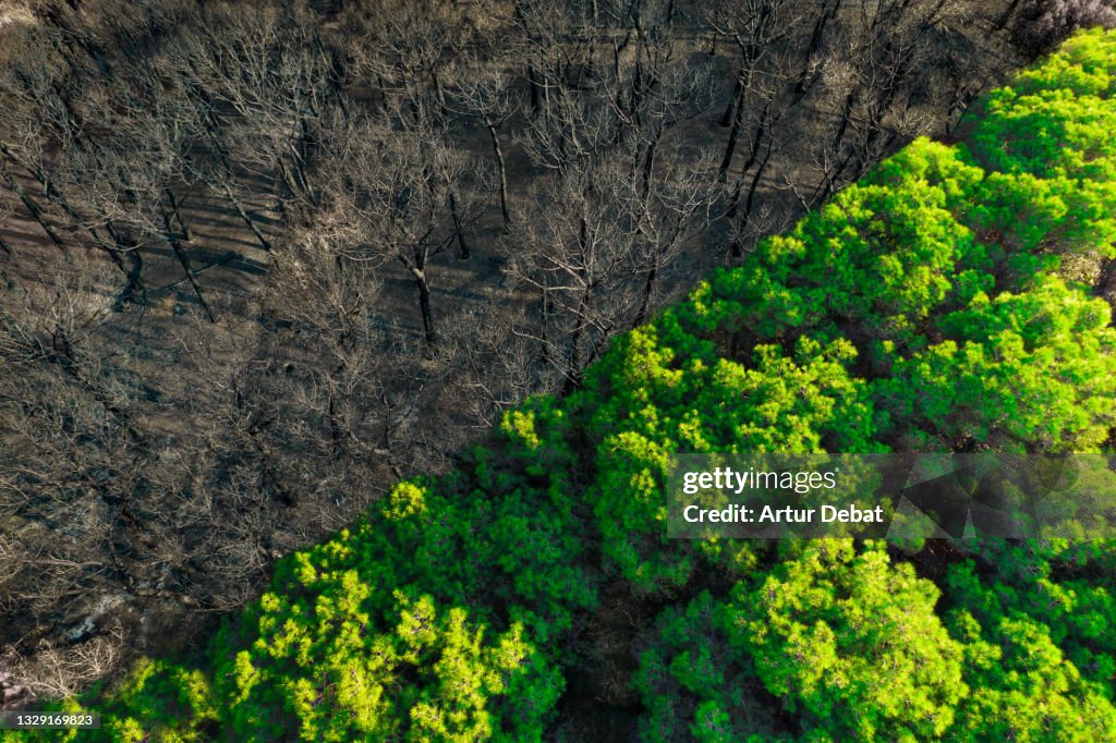 Before and after drone picture of devastating wildfire.