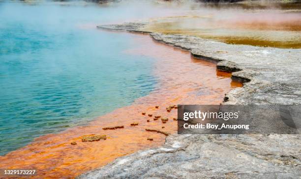 beautiful view of the champagne pool an iconic tourist attraction in wai-o-tapu the geothermal wonderland in rotorua, new zealand. - aardkorst stockfoto's en -beelden