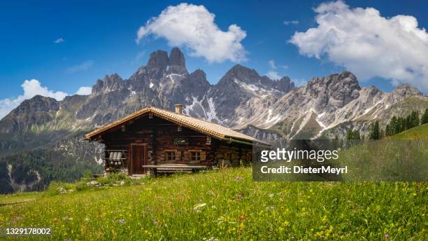 idyllic mountain landscape in the alps: mountain chalet, meadows and blue sky - hut stock pictures, royalty-free photos & images