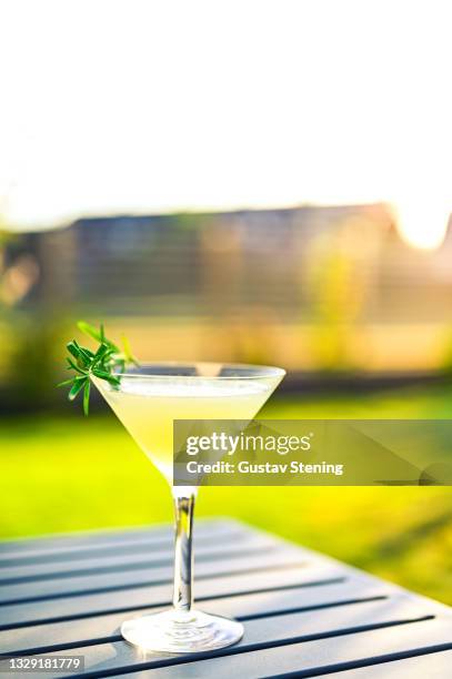 rosemary gimlet - rosemary gimlet stock pictures, royalty-free photos & images