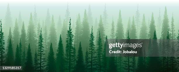 bildbanksillustrationer, clip art samt tecknat material och ikoner med green mist green misterious trees. horizontal seamless design. - hållbar livsstil