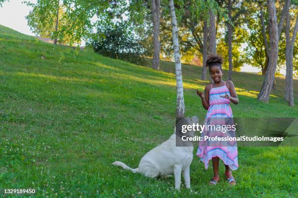 cute african girl is having fun with her dog in park. - international day stock pictures, royalty-free photos & images
