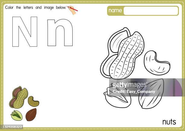 ilustrações, clipart, desenhos animados e ícones de ilustração vetorial de crianças alfabeto página de livro de colorir com delineado clip art para colorir. letra n para nut. - pistache
